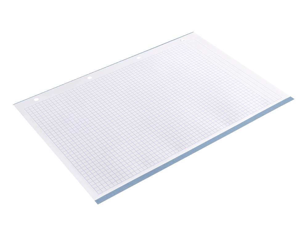 RECAMBIO LIDERPAPEL A4 200+50 HOJAS 90GR CUADRO 5MM 4 TALADROS BANDAS DE 5 COLORES