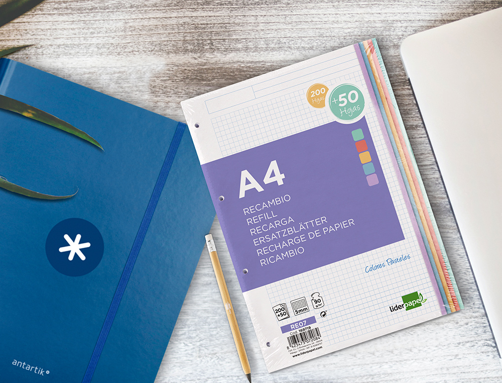 RECAMBIO LIDERPAPEL A4 200+50 HOJAS 90GR CUADRO 5MM 4 TALADROS BANDAS DE 5 COLORES
