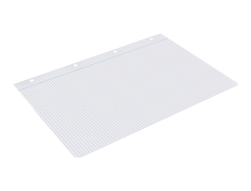 RECAMBIO LIDERPAPEL A4 200+50 HOJAS 90GR CUADRO 4MM CON MARGEN 4 TALADROS