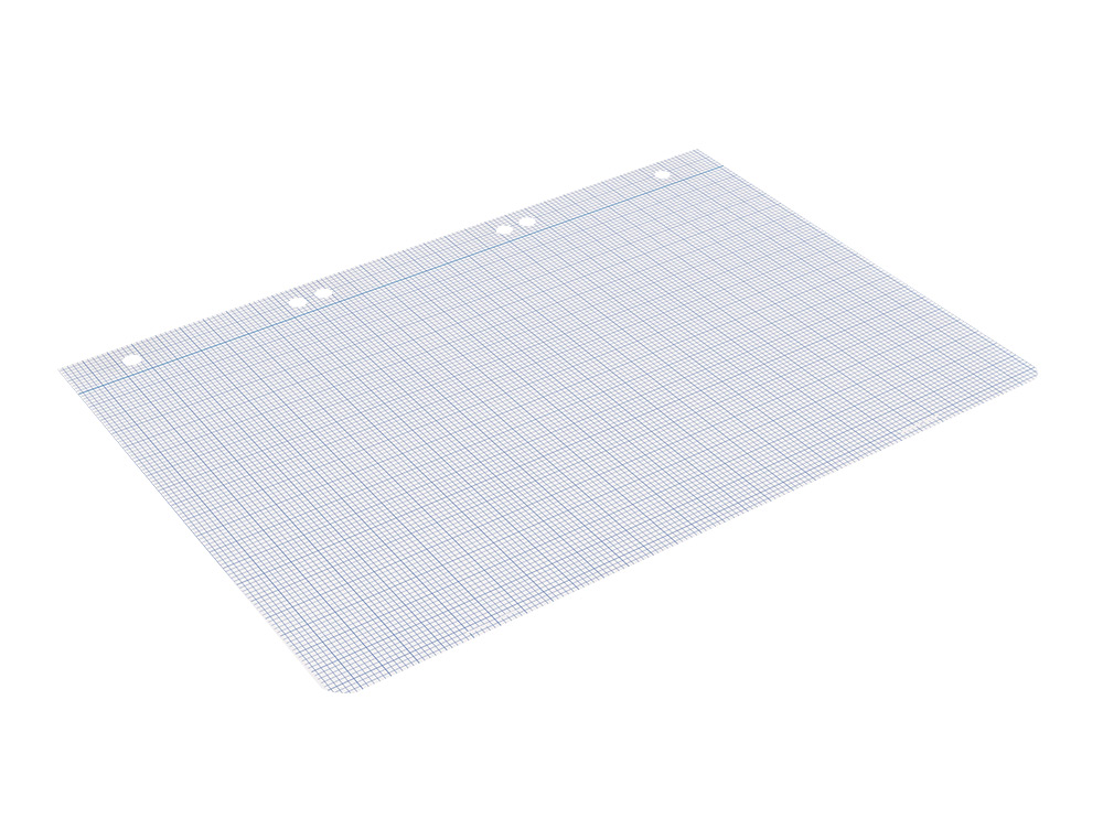 RECAMBIO LIDERPAPEL DIN A5 100 HOJAS 75 GR MILIMETRADO SIN MARGEN 6 TALADROS