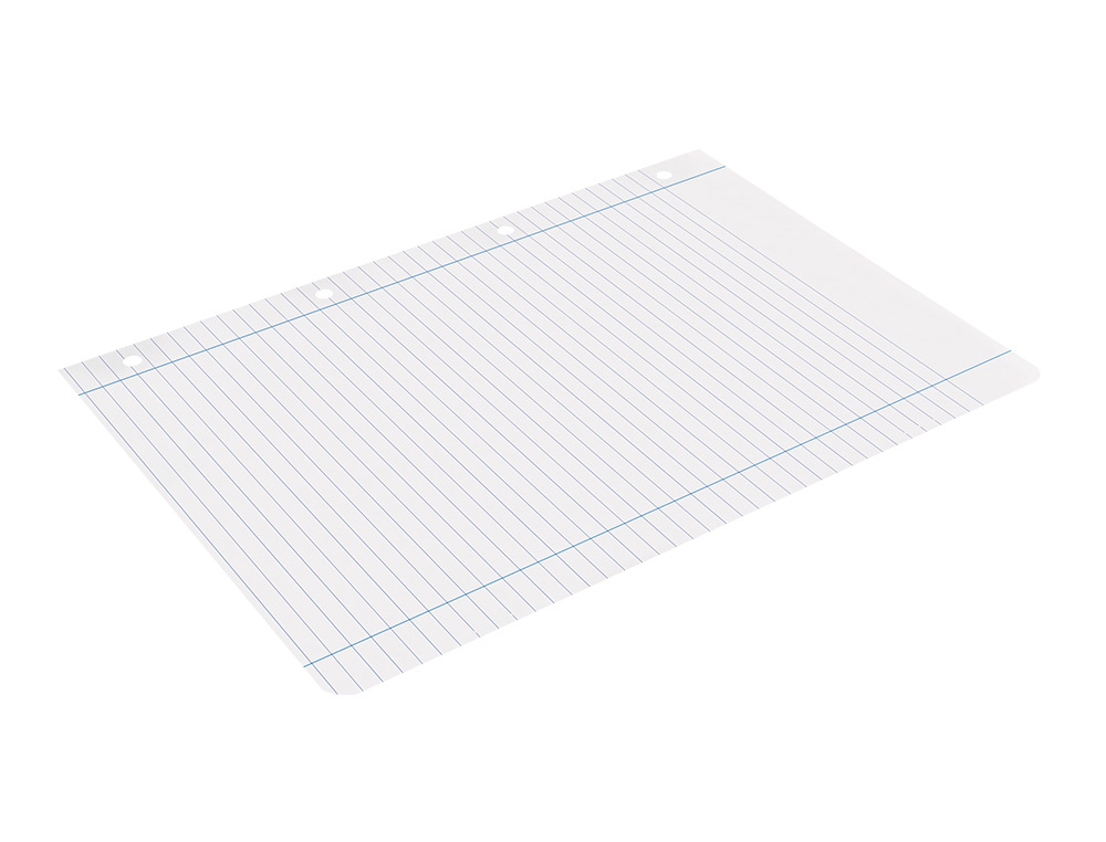 RECAMBIO LIDERPAPEL A4 100 HOJAS 100G/M2 HORIZONTAL CON DOBLE MARGEN 4 TALADROS