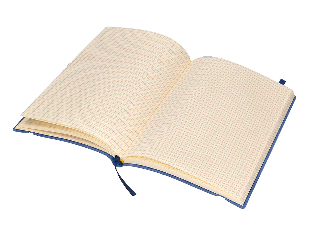 LIBRETA LIDERPAPEL SIMIL PIEL A5 120 HOJAS 70GR CUADRO 4MM SIN MARGEN AZUL