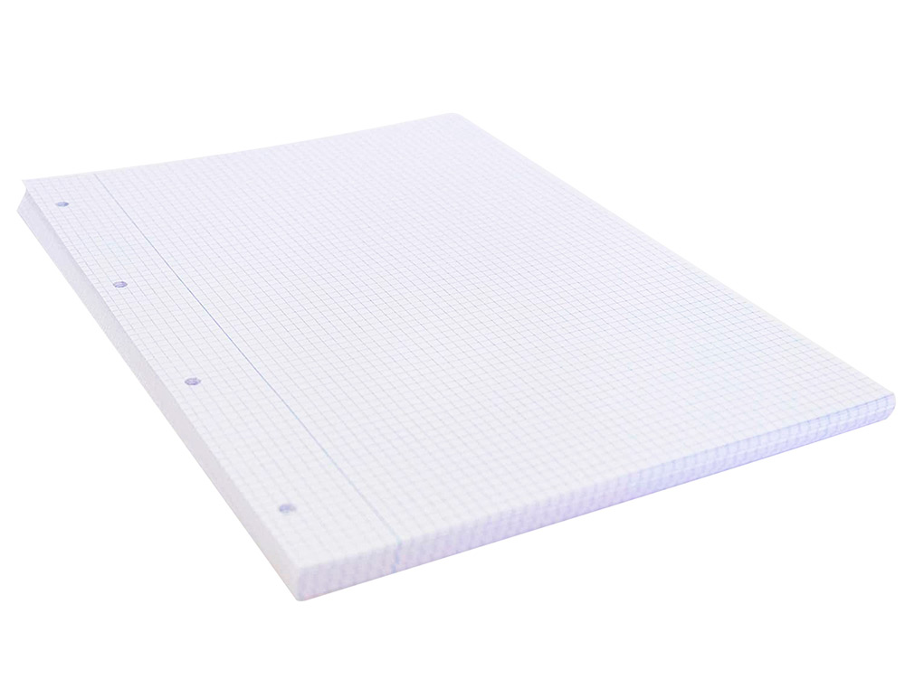 RECAMBIO LIDERPAPEL A4 100 HOJAS 75GR CUADRO 4MM CON MARGEN 4 TALADROS