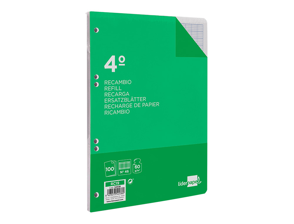 RECAMBIO LIDERPAPEL CUARTO 100 HOJAS 60G/M2 RAYADO Nº 46 6 TALADROS