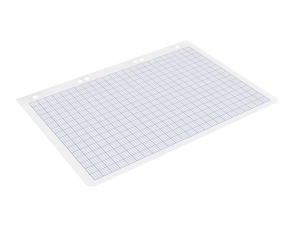 RECAMBIO LIDERPAPEL CUARTO 100 HOJAS 60G/M2 RAYADO Nº 46 6 TALADROS