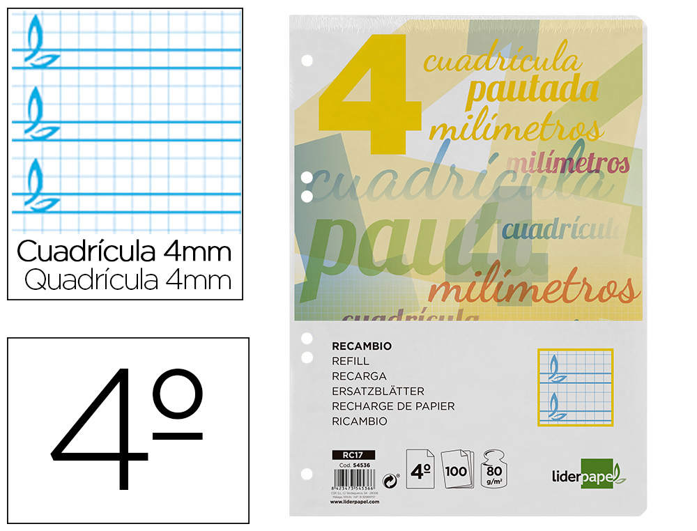 RECAMBIO LIDERPAPEL CUARTO PAUTAGUIA 100 HOJAS 75 G CUADRICULADO PAUTADO 4 MM CON MARGEN 6 TALADROS