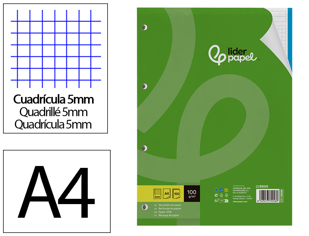 RECAMBIO LIDERPAPEL A4 100 HOJAS 100 G/M2 CUADRO 5 MM 4 TALADROS BANDAS DE 5 COLORES